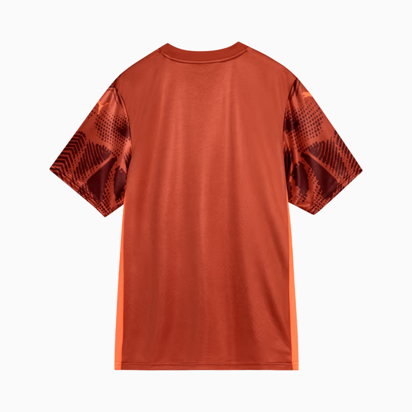 Camisa Puma Palmeiras 2025/26 Goleiro II