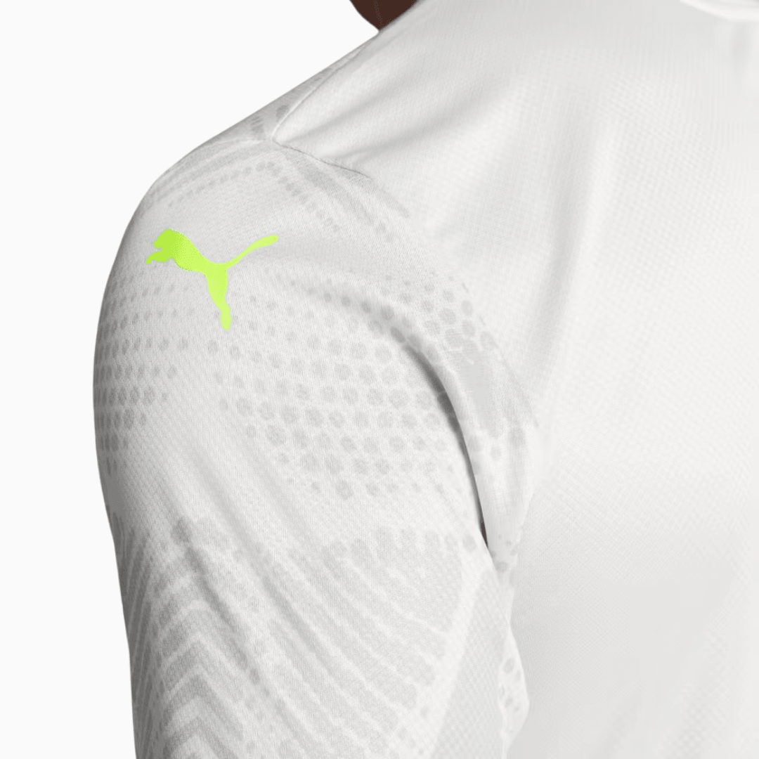 Camisa Puma Palmeiras 2025/26 Goleiro III Jogador