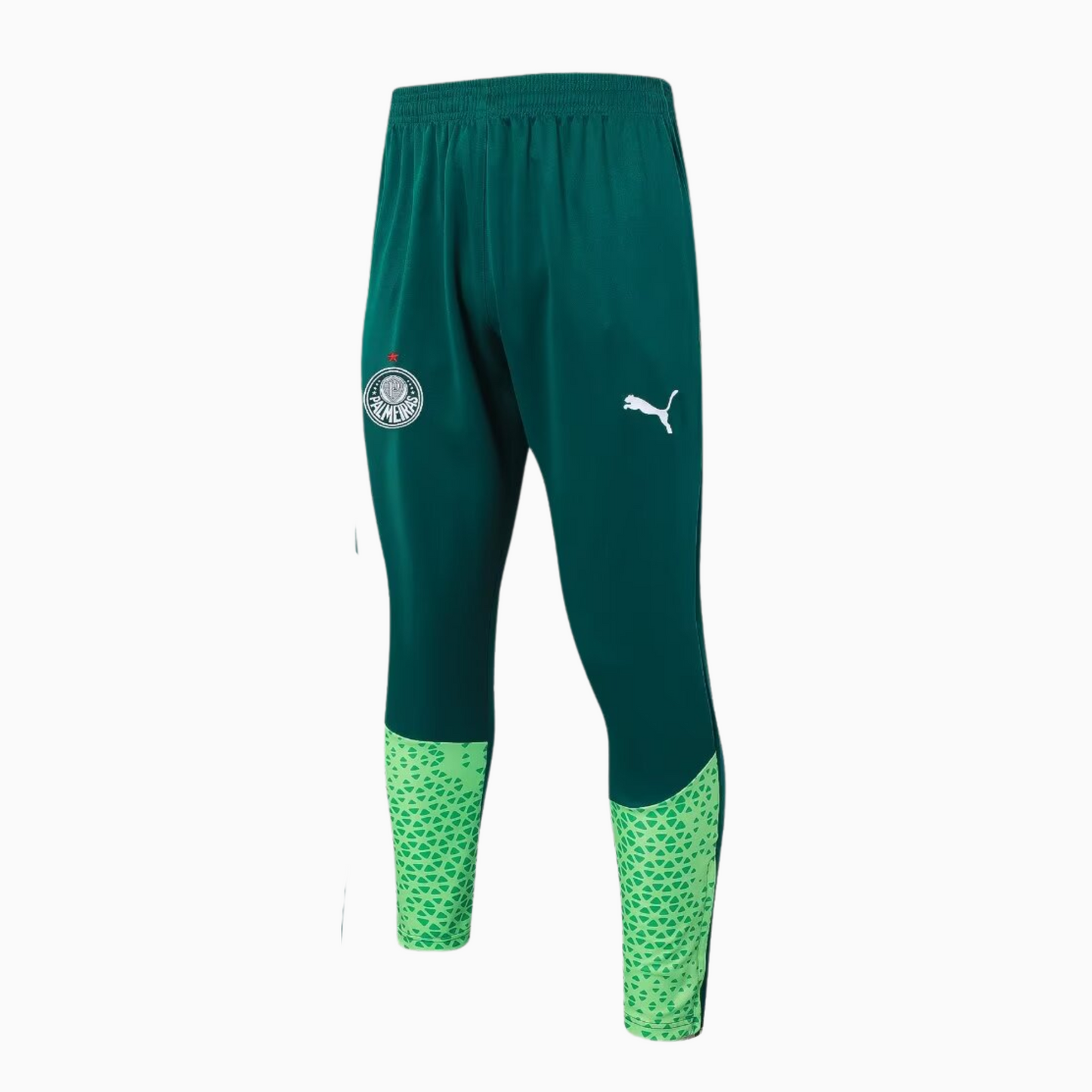 Conjunto de Treino Puma Palmeiras 2024/25 I Masculino