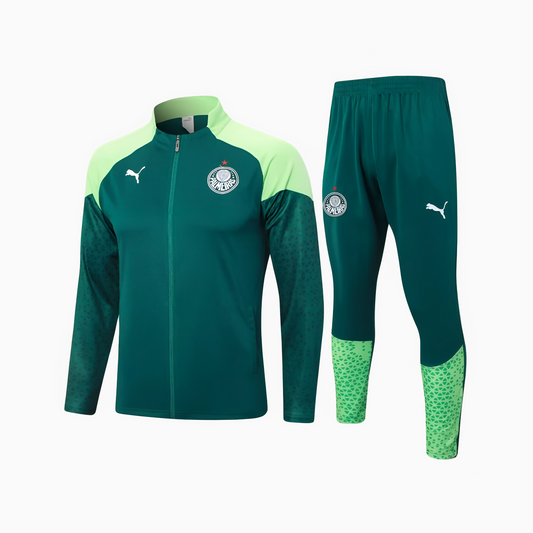 Conjunto de Treino Puma Palmeiras 2024/25 I Masculino