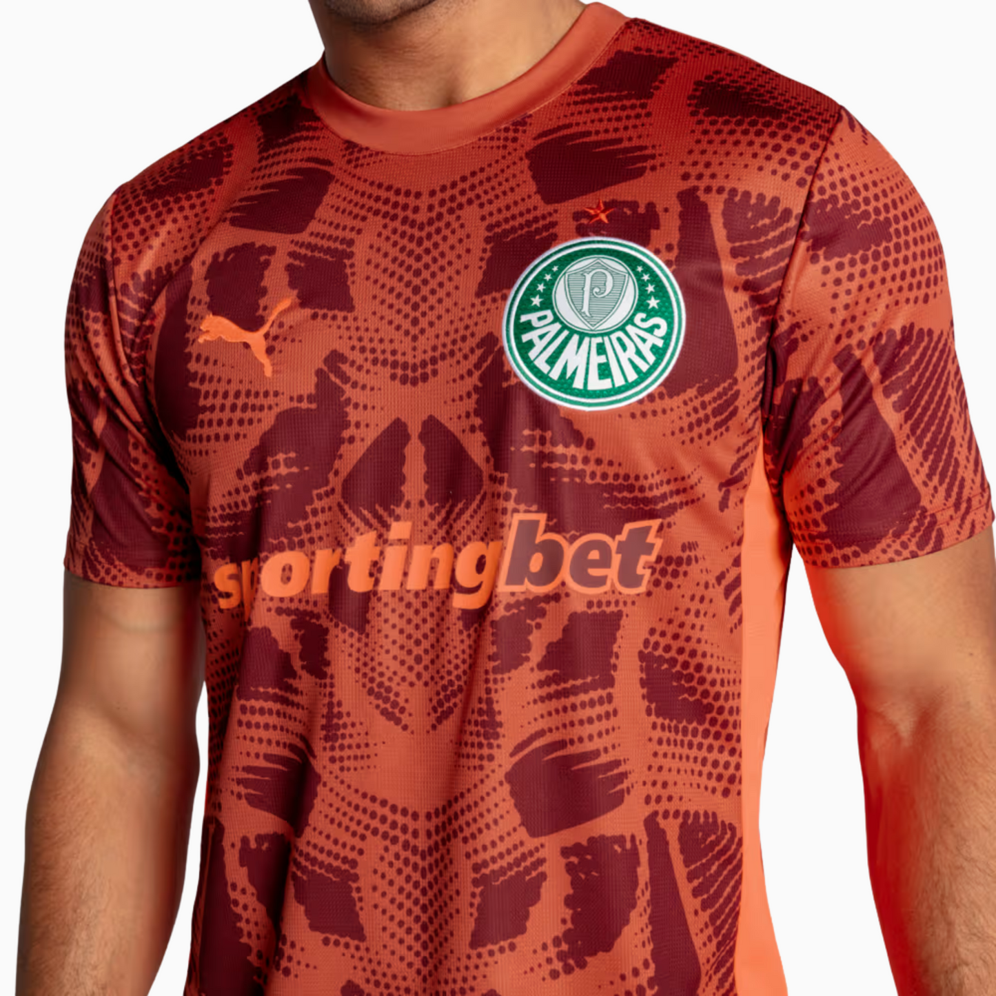 Camisa Puma Palmeiras 2025/26 Goleiro II
