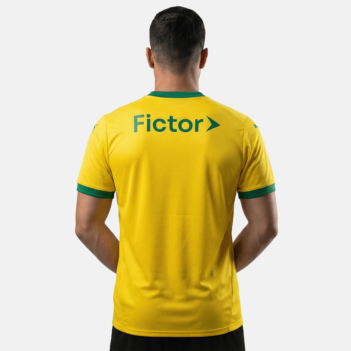 Camisa Puma Palmeiras 2025/26 III Torcedor